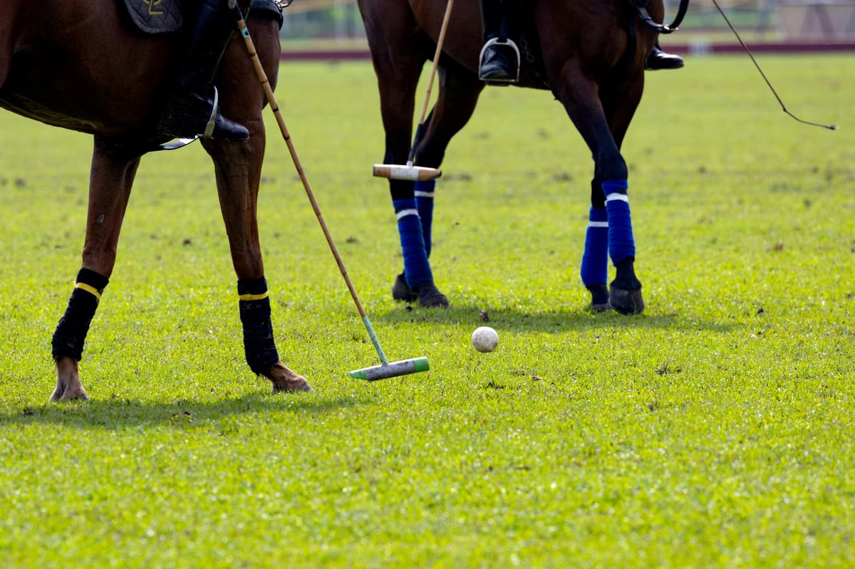 Polo player is using polo mallet hit polo balls during the match.