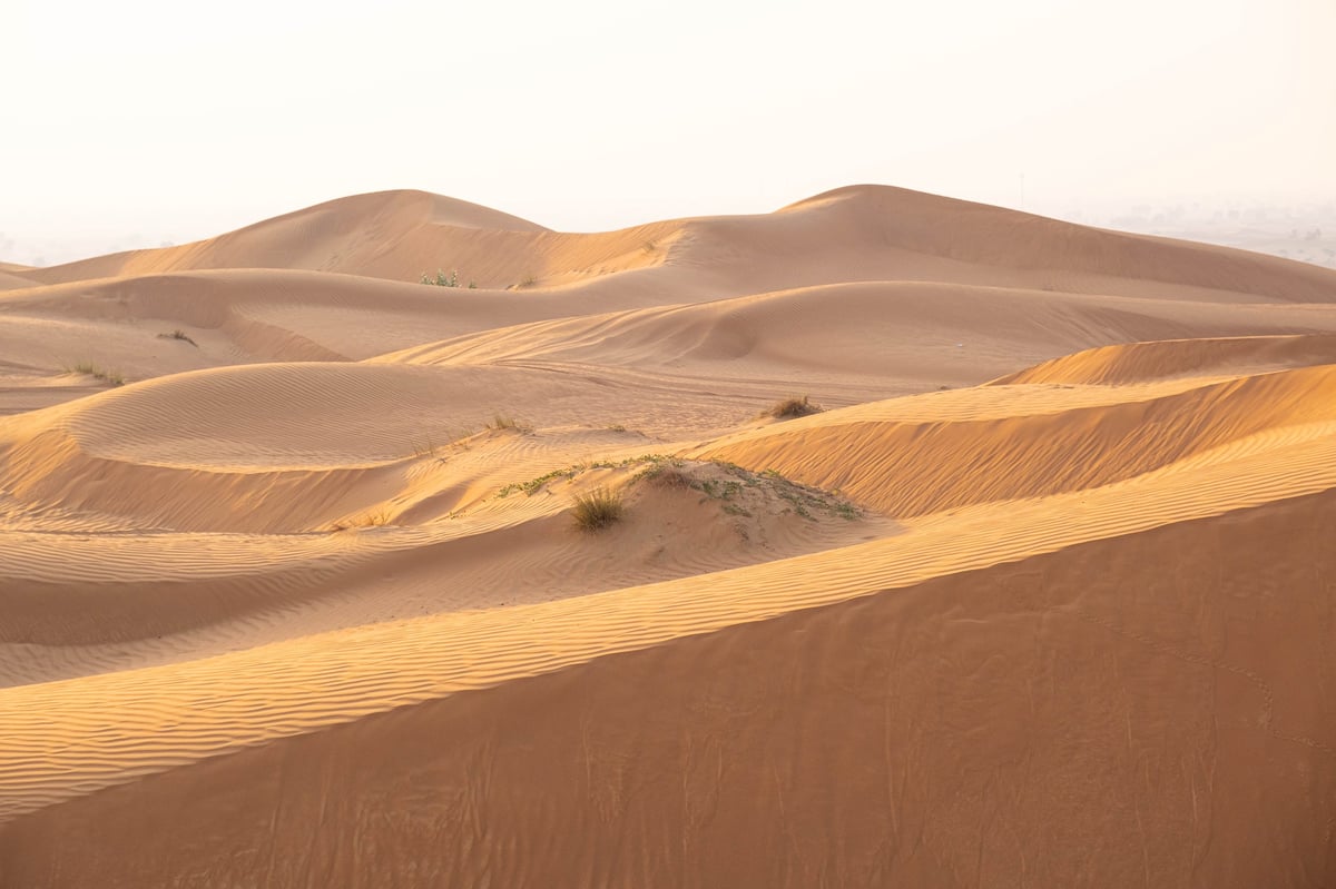 Expansive sand dunes with undulating shapes