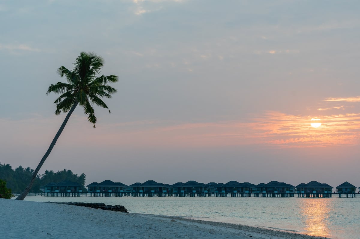 Tranquil tropical beach with a leaning palm tree, glowing sunset, calm lagoon and overwater resort villas in the Maldives.