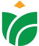 Tralis - Leadership development consultancy with open book and growth symbol