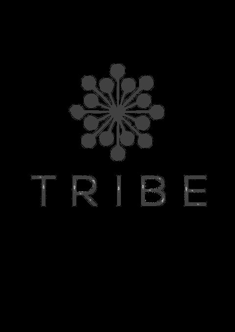 TRIBE logo with circular geometric pattern made of connected spheres arranged in a flower shape