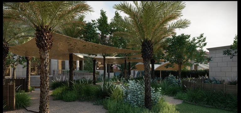 Modern residential pergola surrounded by palm trees and desert landscaping in a contemporary backyard setting